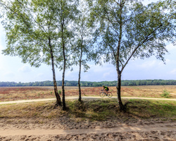 foto bij artikel